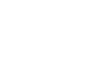 APPLICATION: QUICK AND EASY All our steering components are designed to be easy to install. Our signature ‘plug and play’ technology means that fitting is quick and simple, enabling you to save time and money. 