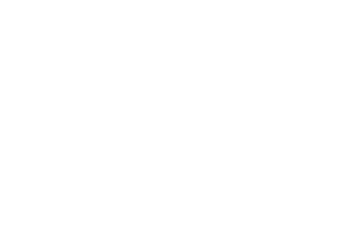 DISTRIBUTION: EURO-WIDE Hirsche is the trusted name in OEM quality aftermarket components all over Europe thanks to our strategic partnerships with the industry’s leading distributors. 
